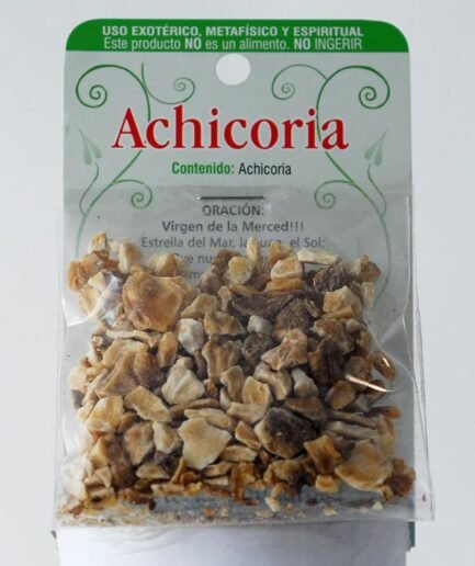 Erba Achicoria