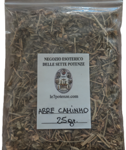 Segment 20250903 111636944