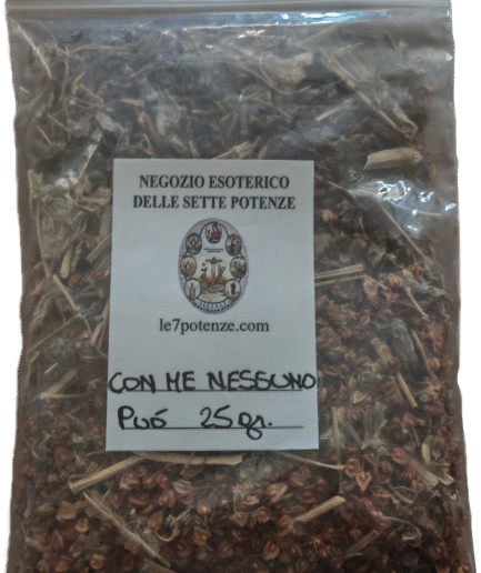 Segment 20250903 112129066