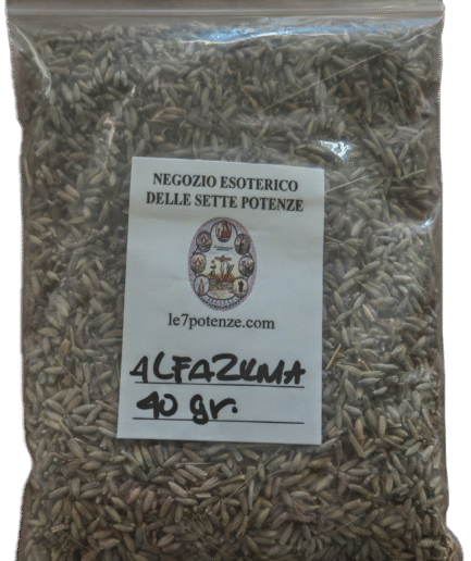 Segment 20250903 112224650