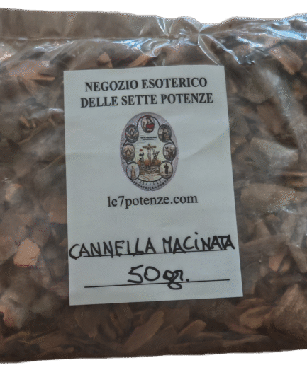 Segment 20250903 113035974