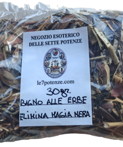 Segment 20250822 171109356